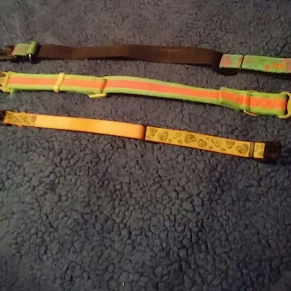 Dog - Picture 2 of 3